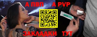 стафф Кингисепп