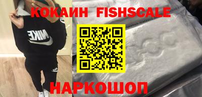 стафф Кингисепп