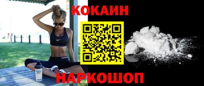 стафф Кингисепп