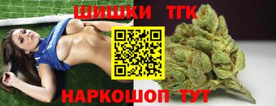 стафф Кингисепп