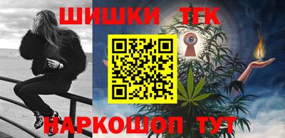 стафф Кингисепп