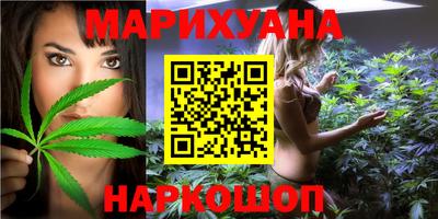 стафф Кингисепп