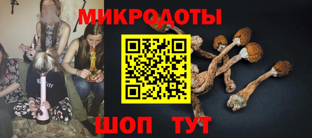 Галлюциногенные грибы ЛСД Кизилюрт